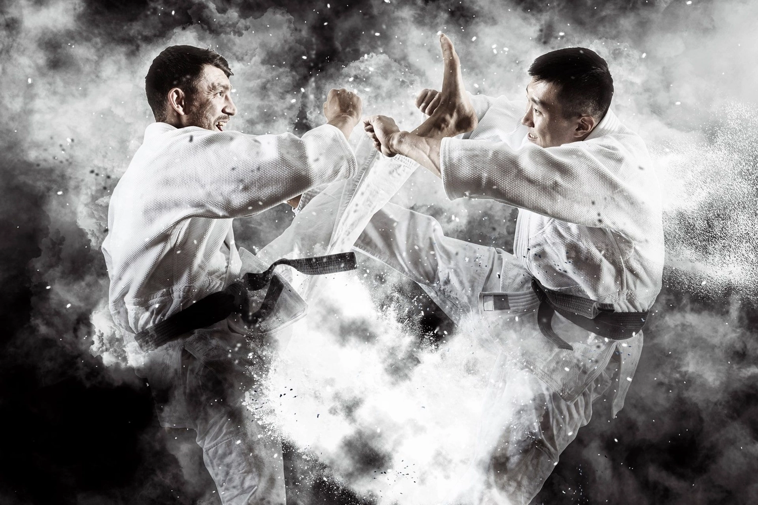 Atrium Sports e.V. - Kampfsport und Fitness - Karate