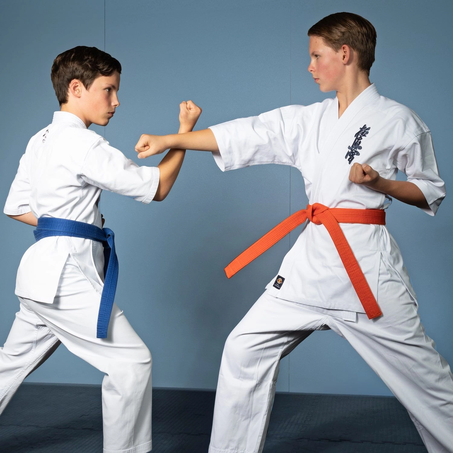 Atrium Sports e.V. - Kampfsport und Fitness - Personal Training